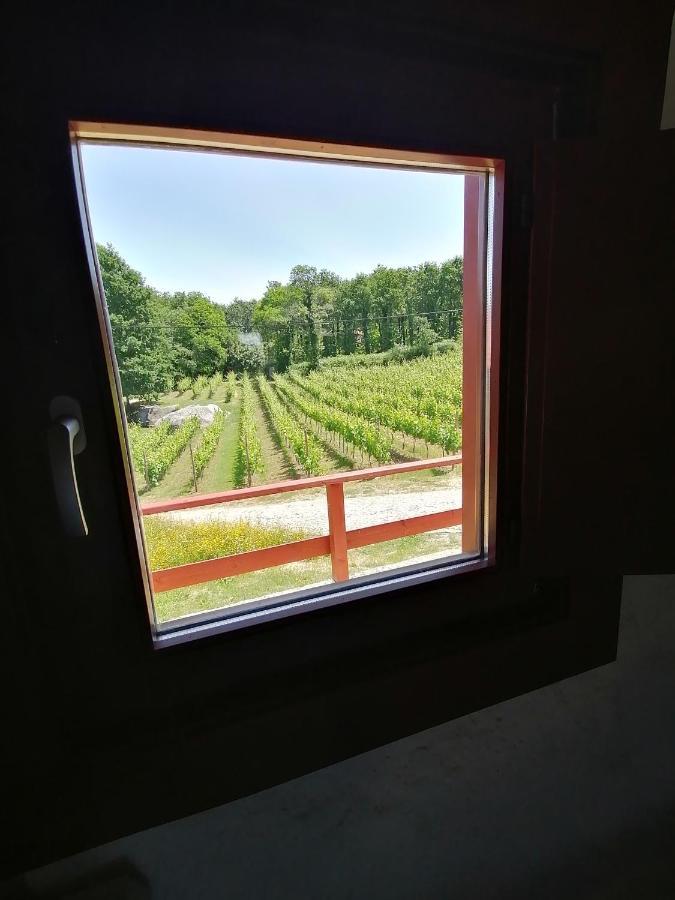 Quinta Pousada De Fora Wines & Tourism Guimaraes Exterior photo